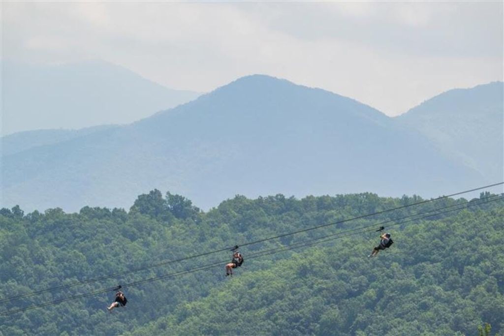 멀리 푸른 산을 배경으로 푸른 숲이 우거진 숲 사이로 세 사람이 집라인을 이루고 있습니다.