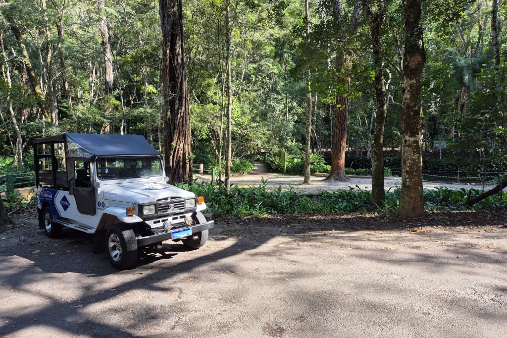 지프 타고 즐기는 열대우림 투어