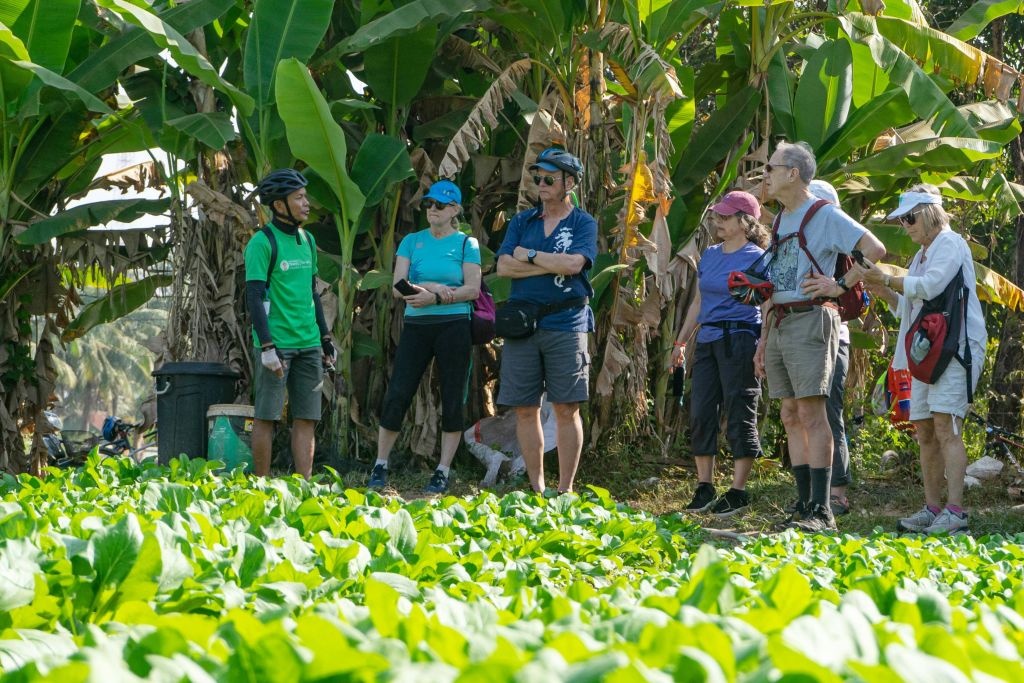 시엠리아프의 전형적인 관광 경로를 벗어나 한 마을에서 다른 마을로 자전거를 타고 현지 라이프스타일을 발견해 보세요.