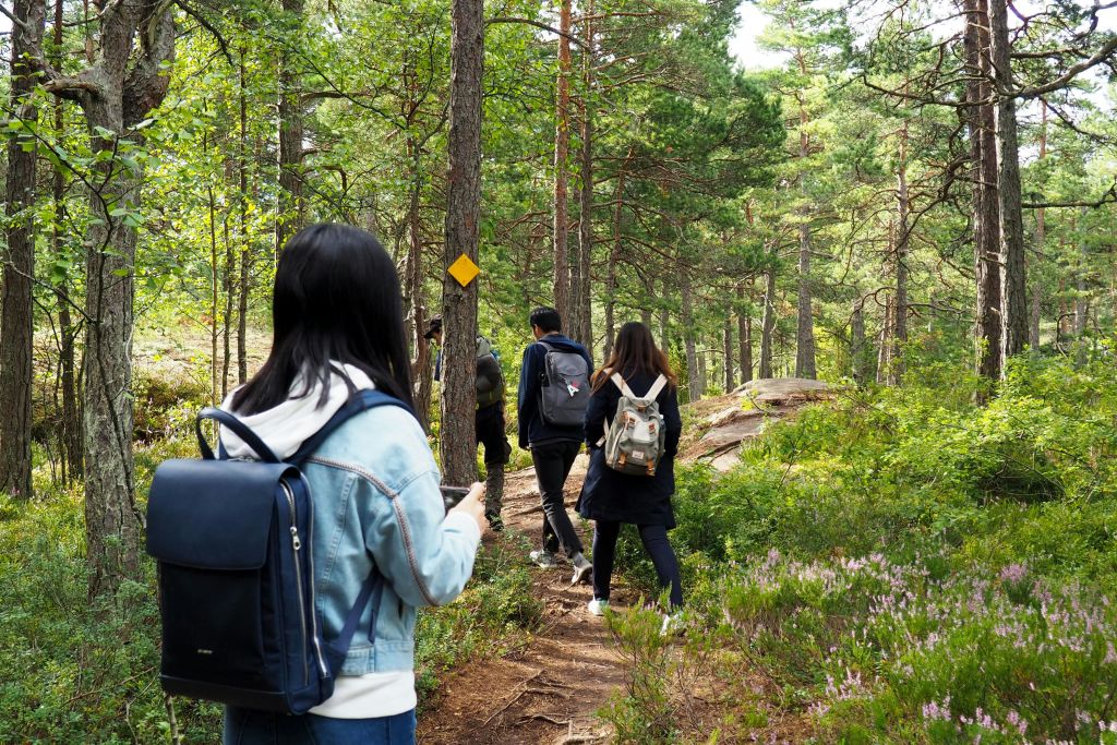핀란드 타이가 숲을 거닐며 발트해로 떠나는 여행