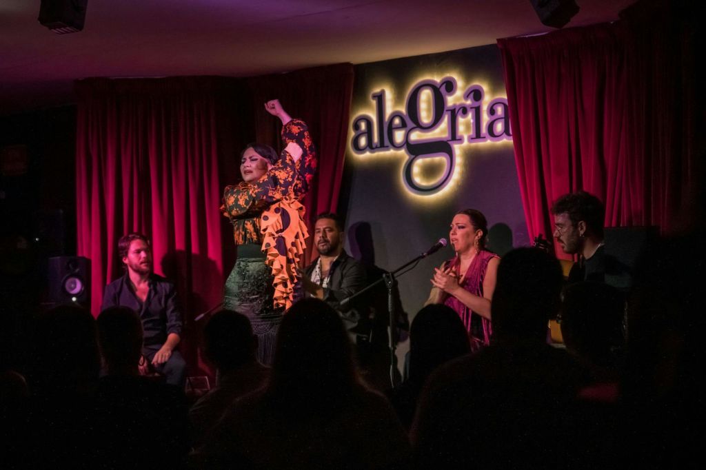 'Alegria' Malaga의 풀 스테이지: 예술과 열정으로 진동하는 플라멩코 쇼에서 춤추는 사람, 가수 및 팔메로