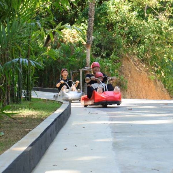 두 사람이 울창한 녹음으로 둘러싸인 루지 카트를 타고 포장 트랙을 타고 내려갑니다.