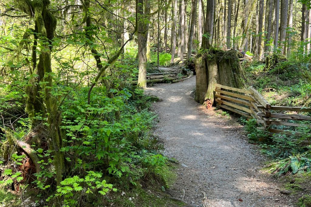 밴쿠버의 아름다운 자연에서 즐기는 하이킹.
