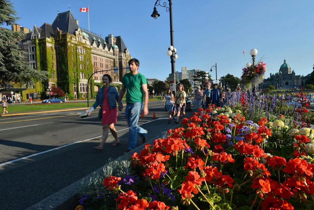 붉은 꽃이 늘어선 거리와 맑은 하늘 아래 담쟁이를 배경으로 한 유서 깊은 건물을 따라 걷는 사람들.
