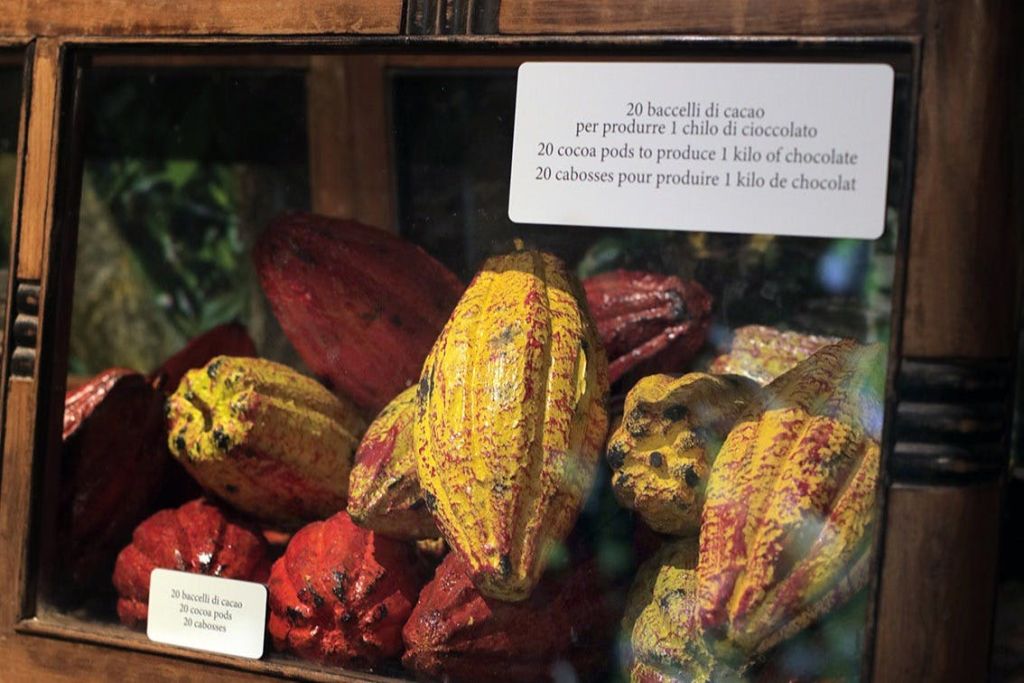 텍스트는 번역되지 않은 상태로 유지됩니다.