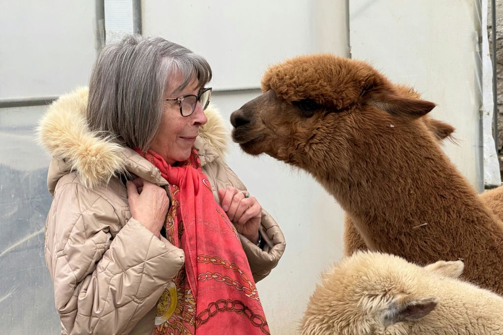 베이지색 코트와 빨간색 스카프를 두른 여성이 실내에서 갈색 알파카와 밀접하게 상호 작용합니다.