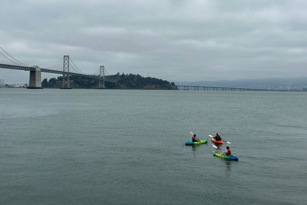 샌프란시스코에서 카약 타기