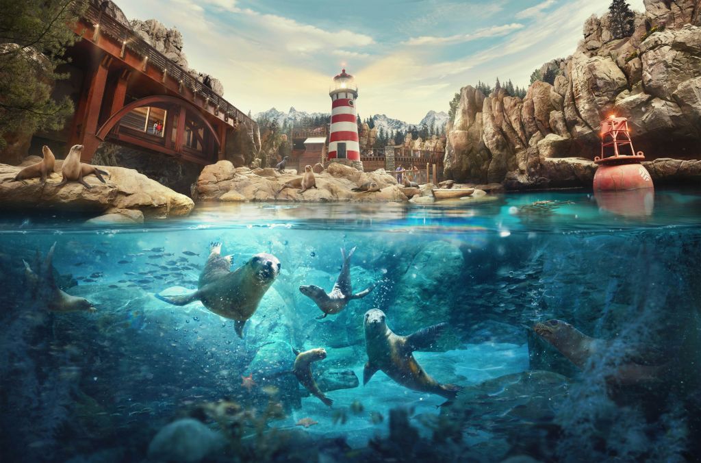 빨간색과 흰색 줄무늬 등대, 바위 절벽, 나무 다리가 있는 해안가에서 수영하는 바다표범.