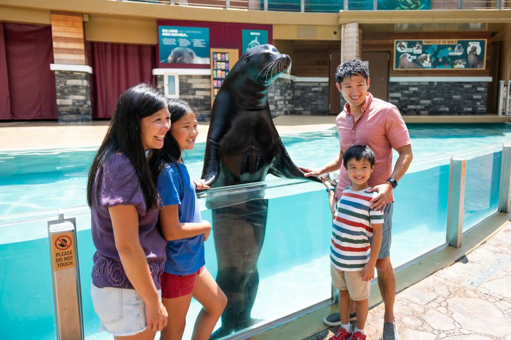 씨월드 올랜도: 우선 입장권