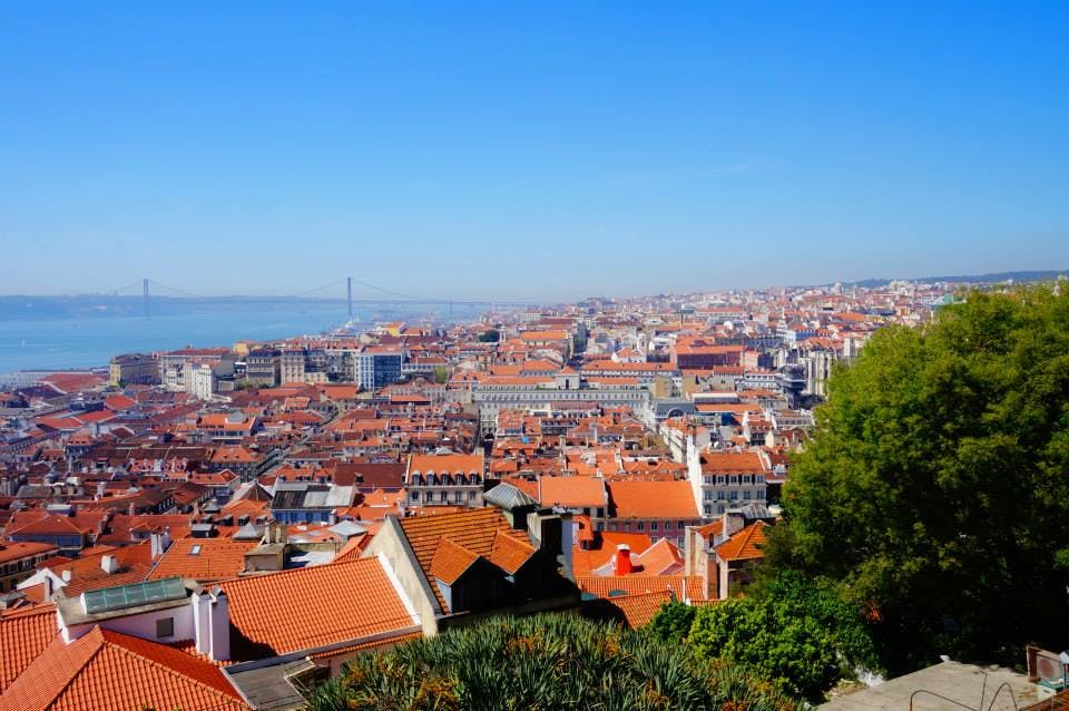 붉은 타일로 마감된 지붕, 건물이 빽빽하게 들어선 도시 풍경, 배경에는 다리가, 위에는 맑고 푸른 하늘이 펼쳐집니다. 앞에 나무가 있습니다.