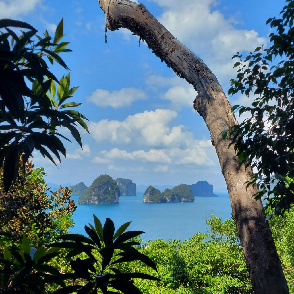 부분적으로 흐린 하늘 아래 푸른 바다에서 솟아오른 바위섬의 울창한 녹지를 감상할 수 있습니다. 커다랗고 구부러진 나무 몸통이 현장을 둘러싸고 있습니다.