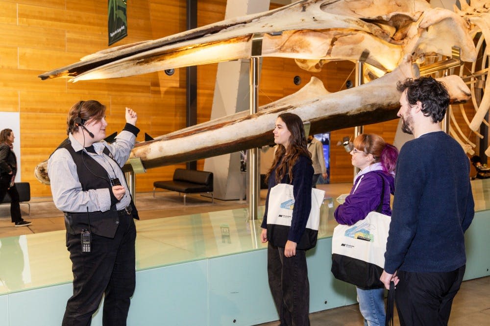 멜버른 아이콘 가이드 투어