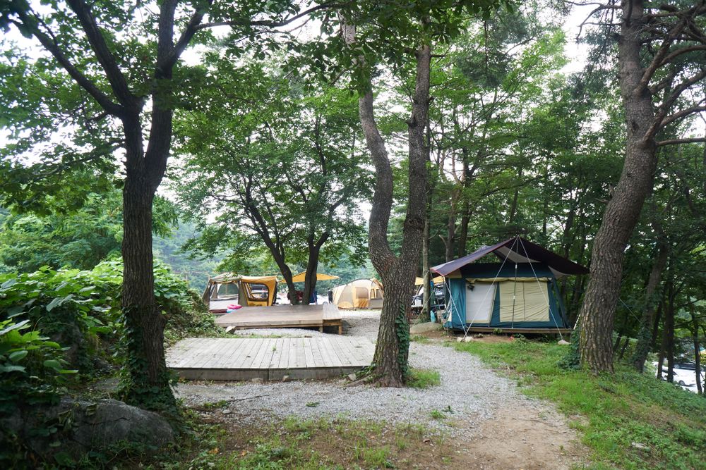 살둔 마을 생둔 분교 캠핑장