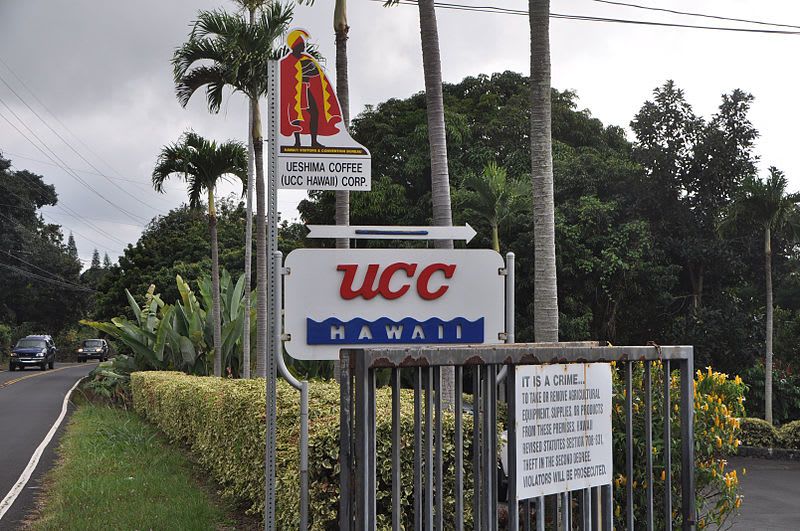 UCC 하와이