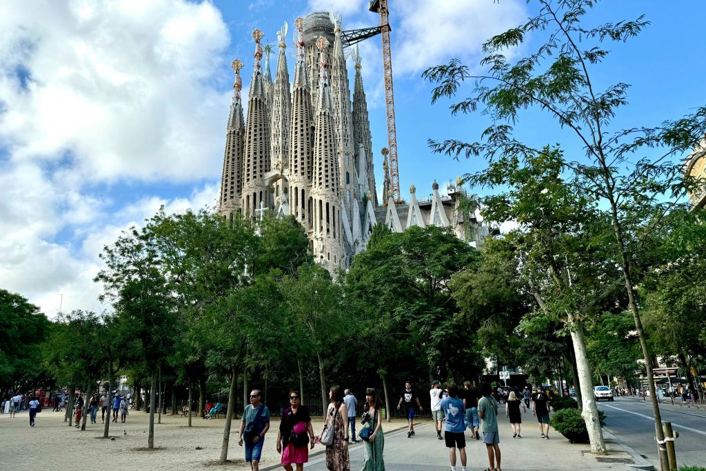 인접한 공원의 나무 사이로 사그라다 파밀리아가 한눈에 들어옵니다.