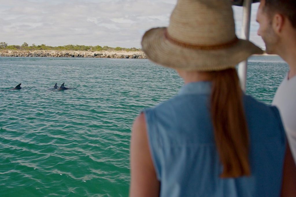 해변에서 불과 몇 분 거리에 현지 수로를 탐험합니다. 100마리 이상의 돌고래가 살고 있는 곳입니다.