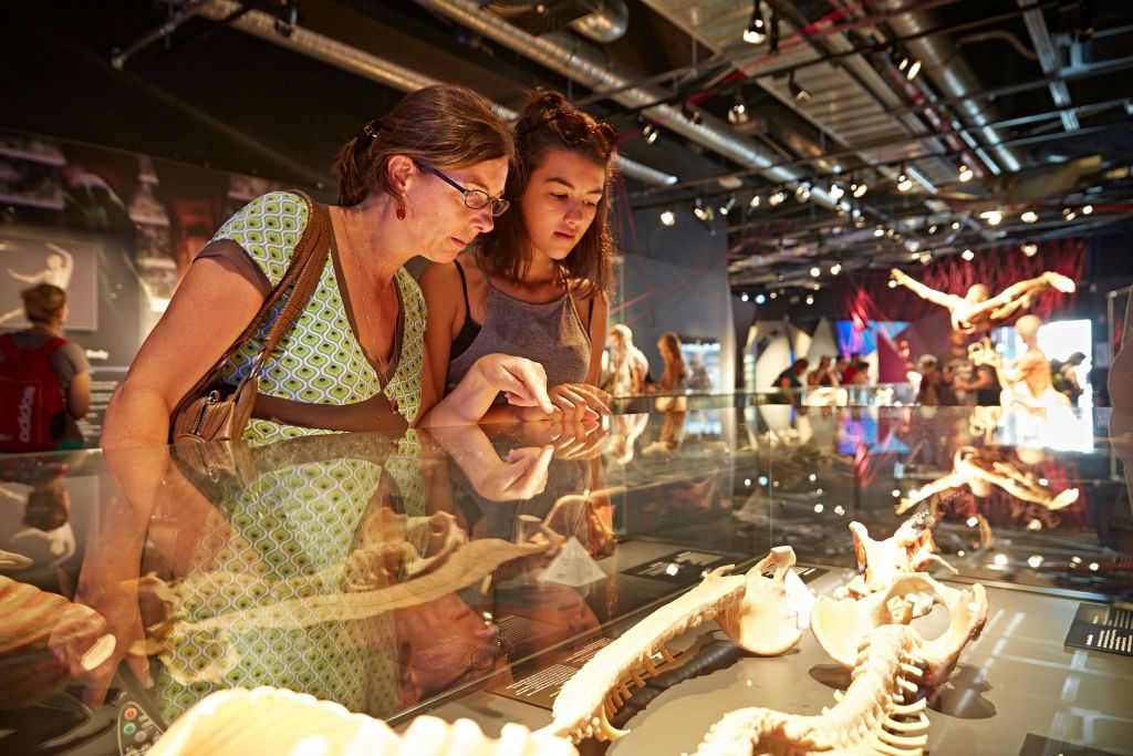 바디 월드 베를린