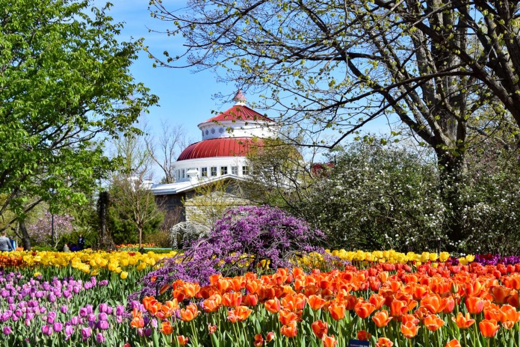 형형색색의 튤립과 꽃이 만발한 나무가 있는 정원으로, 붉은색 돔을 배경으로 한 건물이 있습니다.