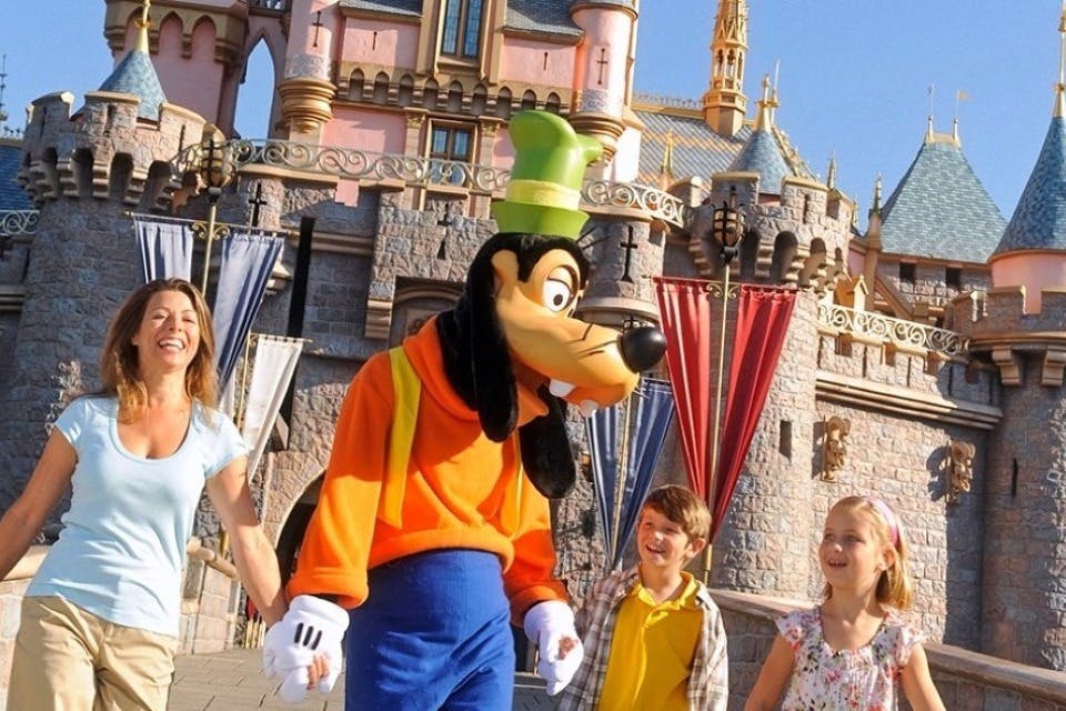 지니 + 옵션이 있는 3일 파크 호퍼