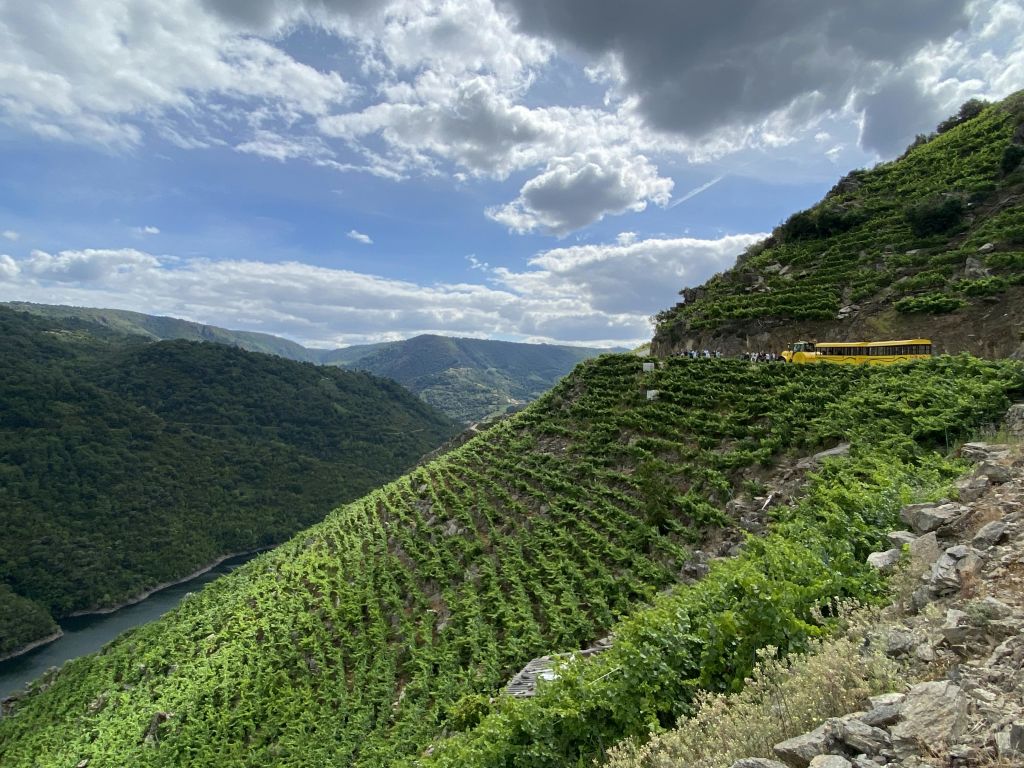 울창한 초목으로 뒤덮인 계단식 언덕, 아래 계곡의 강, 도로의 노란색 차량.