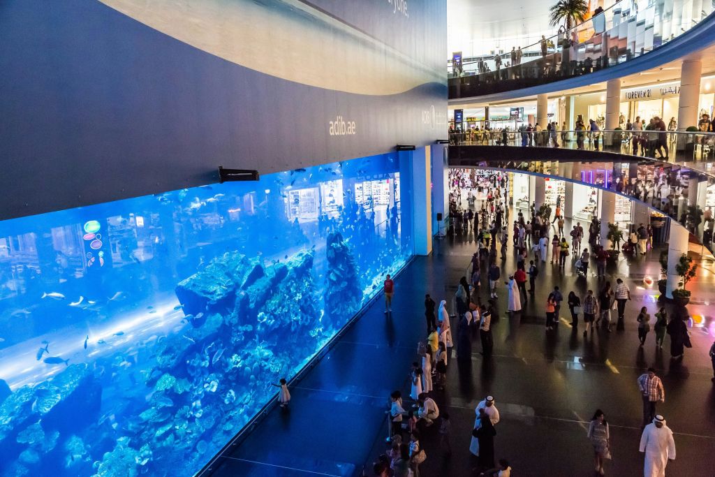 두바이 수족관 & 수중 동물원 - 최고의 체험