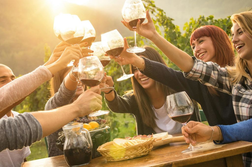 야외 모임에서 한 무리의 사람들이 미소를 지으며 와인잔을 움켜쥐고 있으며, 음식과 녹음이 어우러진 테이블이 배경으로 놓여 있습니다.
