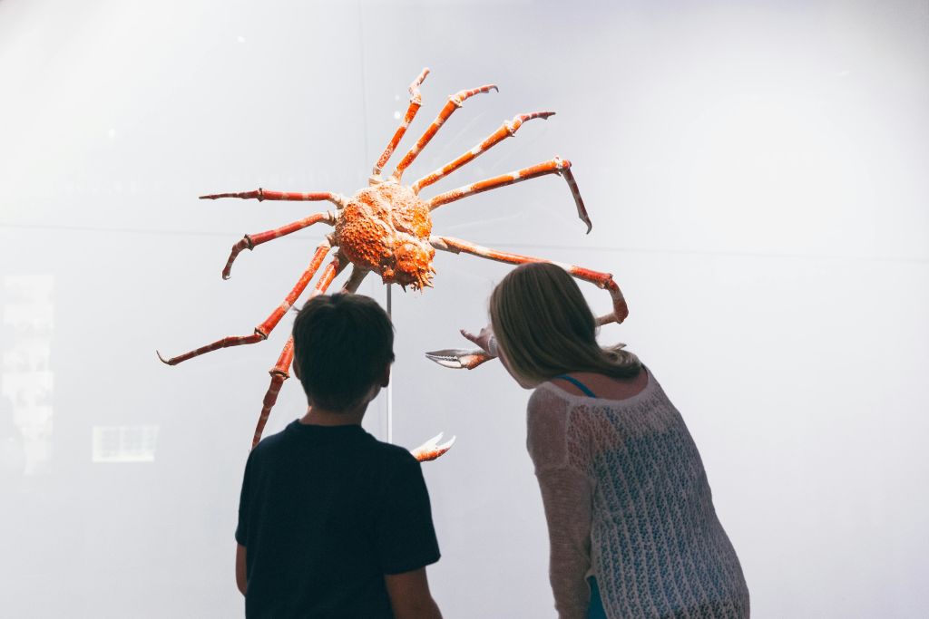 샤드 생물다양성 갤러리