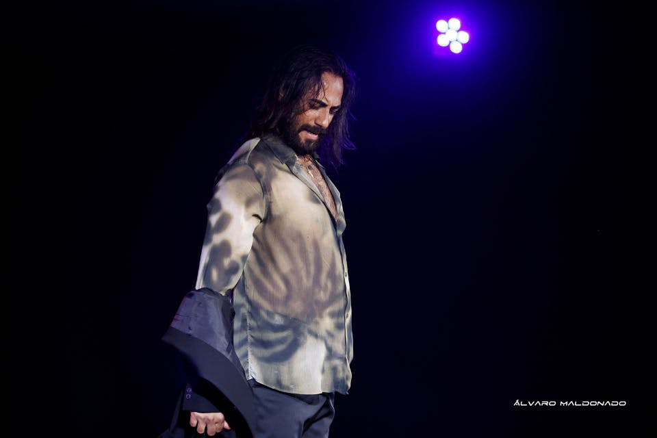 타블라오 플라멩코 알마 공연