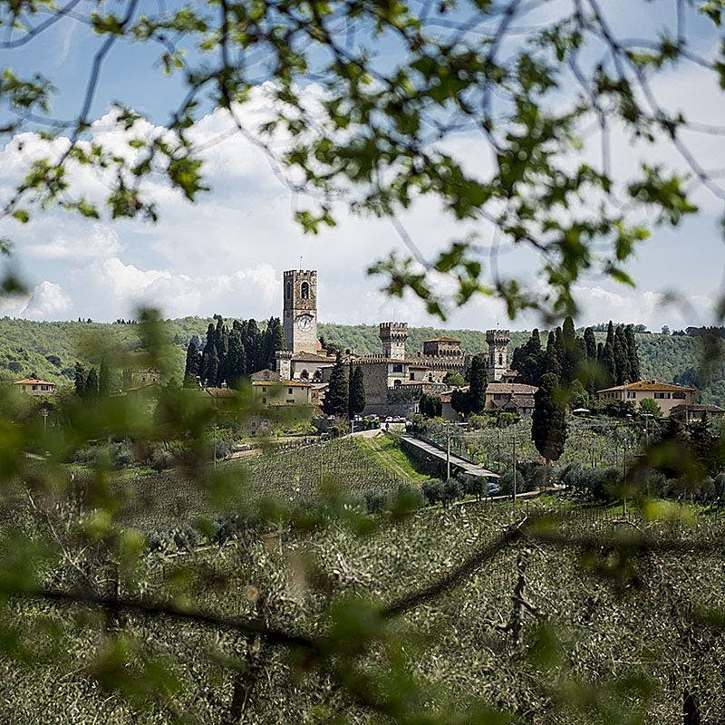 나뭇가지와 전경의 단풍을 통해 조망되는 나무로 둘러싸인 중앙 석탑이 있는 유서 깊은 마을.