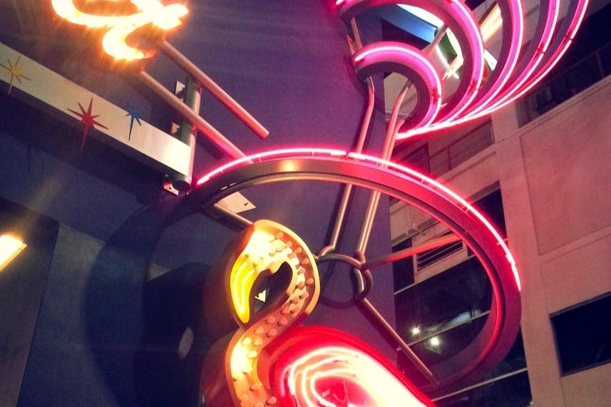 프리몬트 스트리트 애프터 다크 - 글리터 걸치