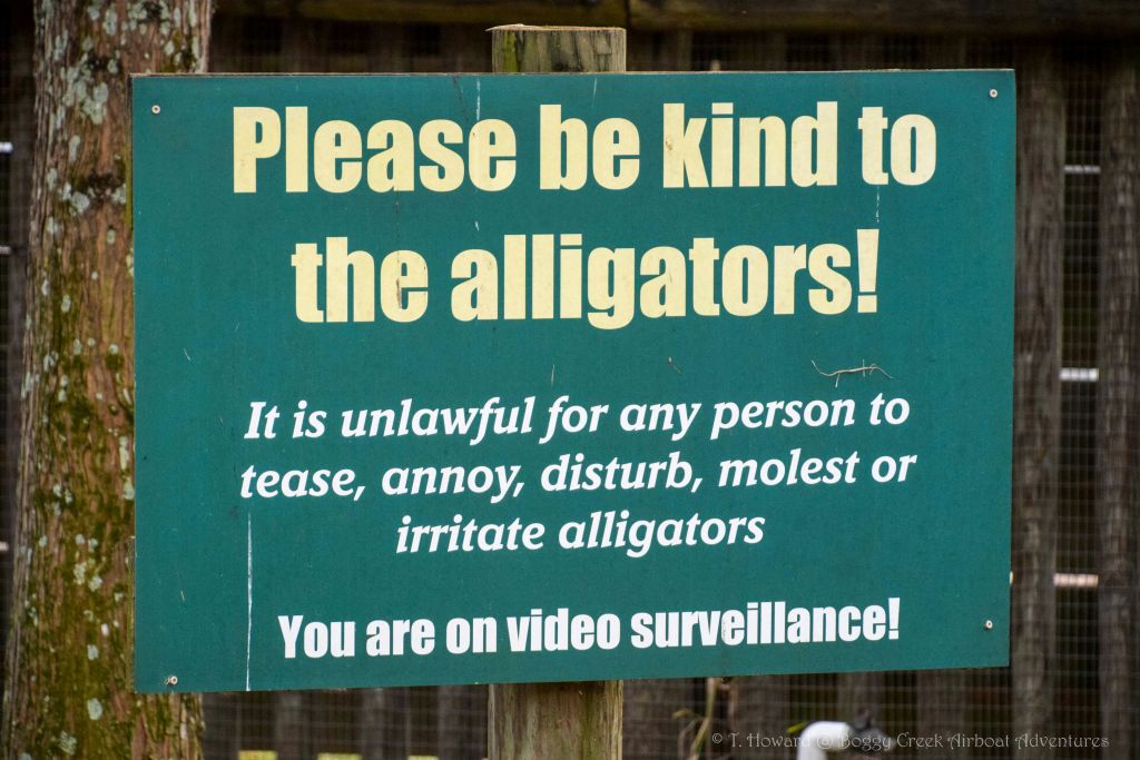 표지판에는 "악어에게 친절을 베풀어주세요! 악어를 놀리거나, 귀찮게 하거나, 방해하거나, 성추행하거나, 자극하는 것은 불법입니다. 영상 감시 중이시군요! ”