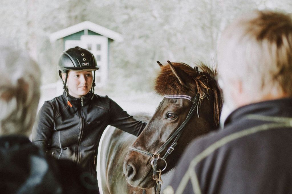 프리드헤이마르