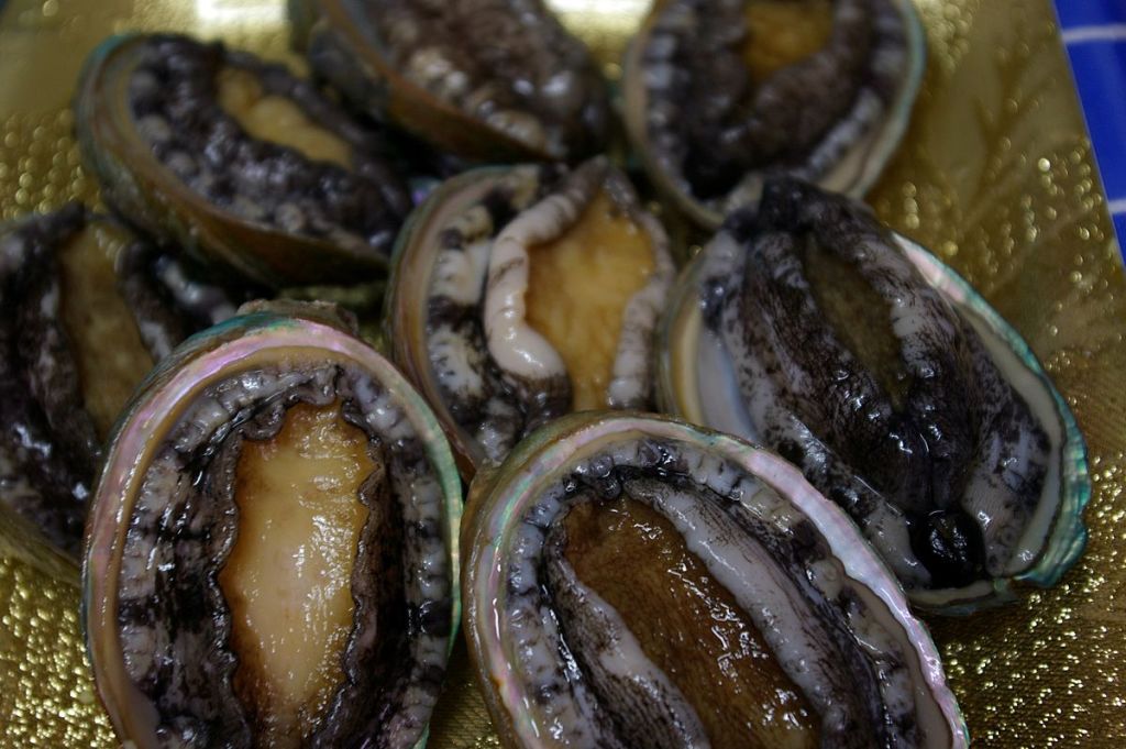 삼척 전복 해물 뚝배기