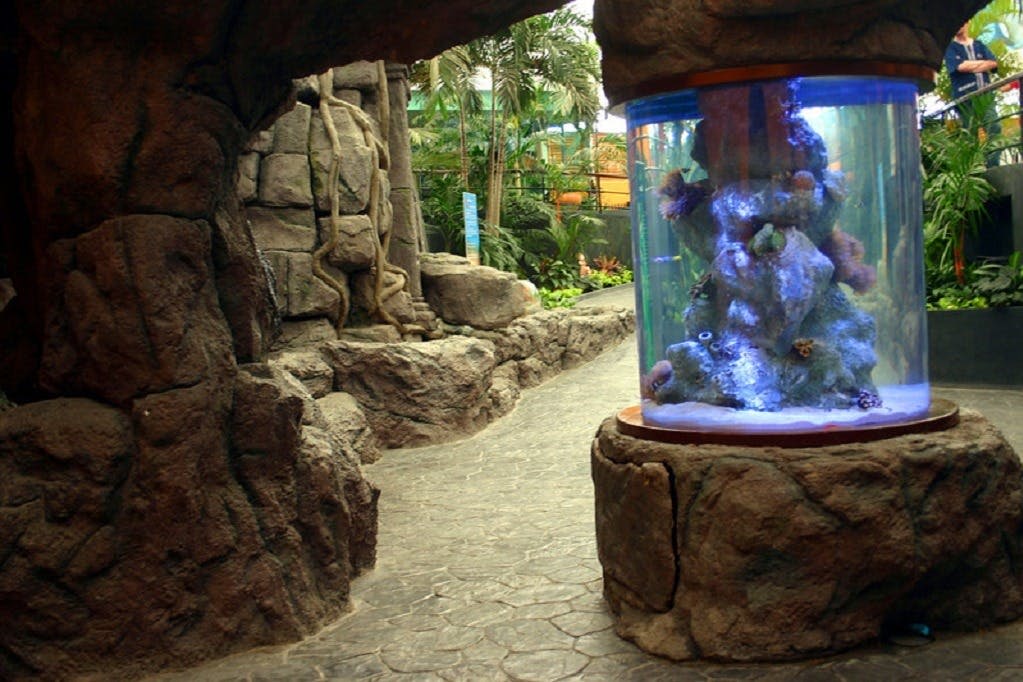 언더워터월드 파타야