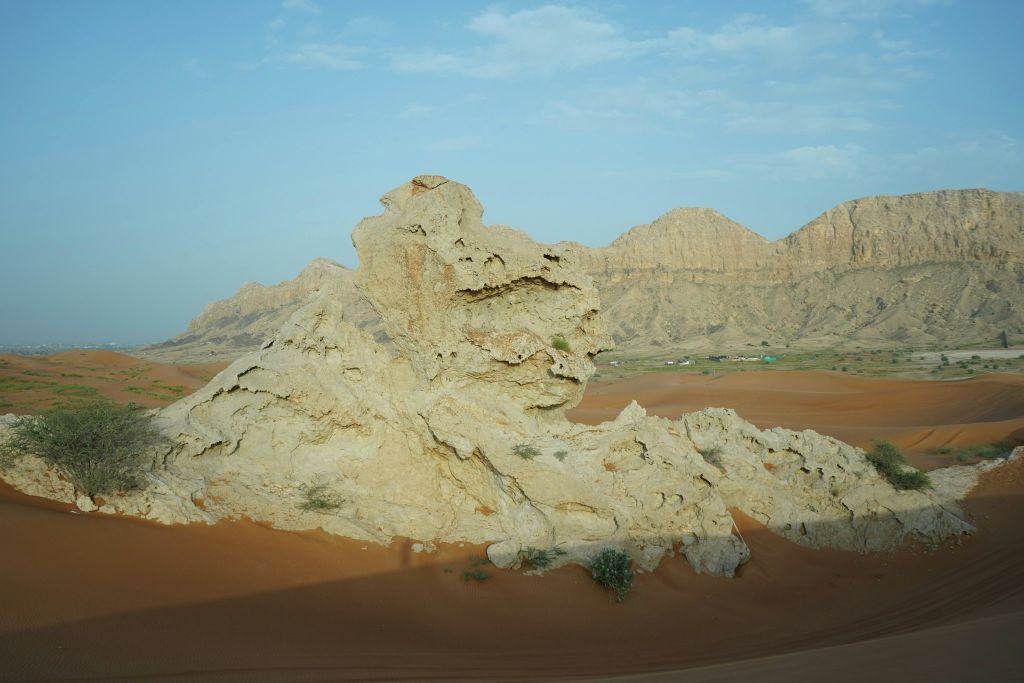 화석 바위 탐험