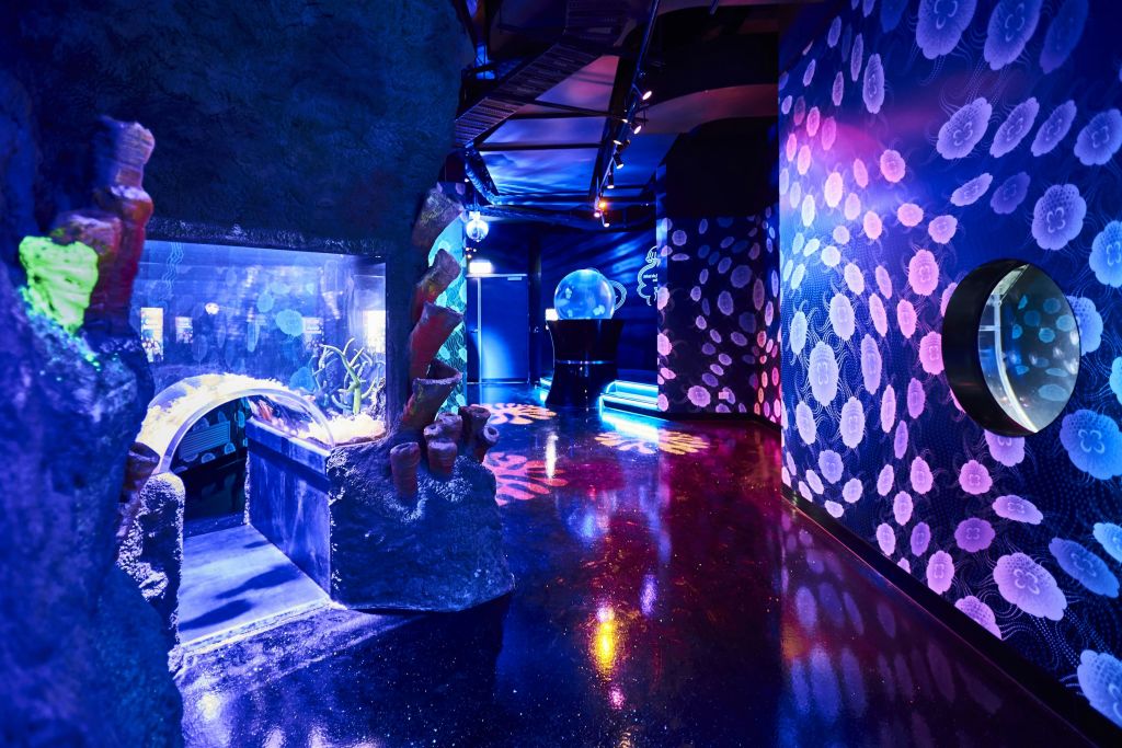 조명이 어두운 네온색의 객실은 커다란 어항, 추상적인 벽 패턴, 빛나는 물건을 갖추고 있어 수중 분위기를 연출합니다.