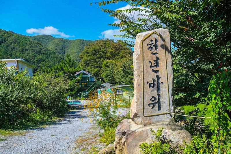 단양 천년바위펜션 - 트리플 숙소