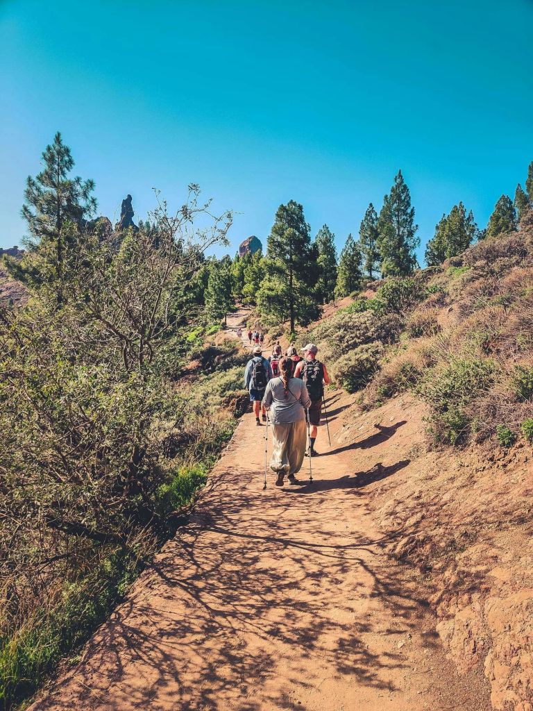 로케누블로트레일