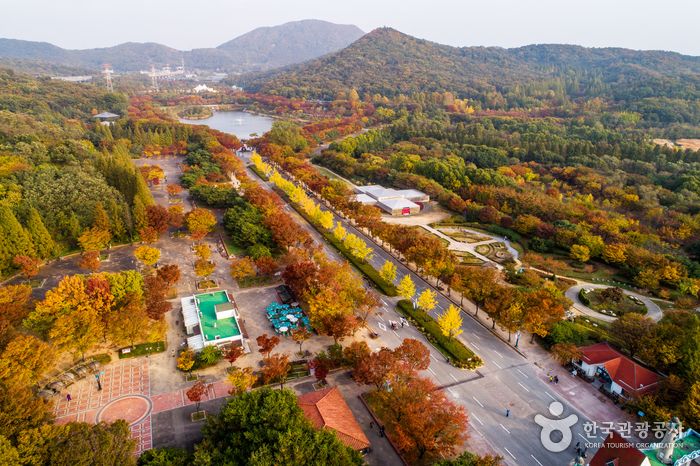 인천대공원