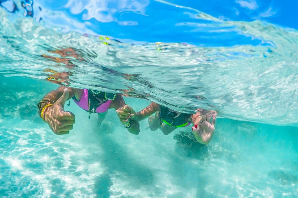 산호, 무지개 송어 등 활기찬 해양 생물이 풍부한 맑은 에메랄드빛 바다를 만나보세요.