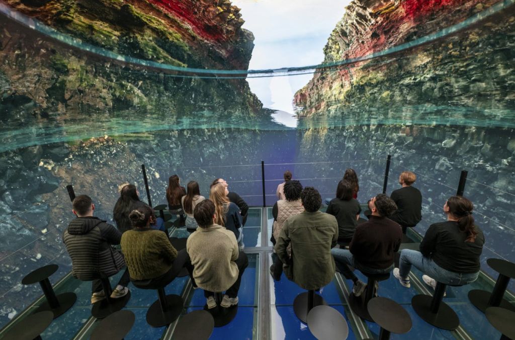 한 무리의 사람들이 의자에 앉아 바위 같은 수중 장면을 보여주는 대형 몰입형 수중 디스플레이를 보고 있습니다.