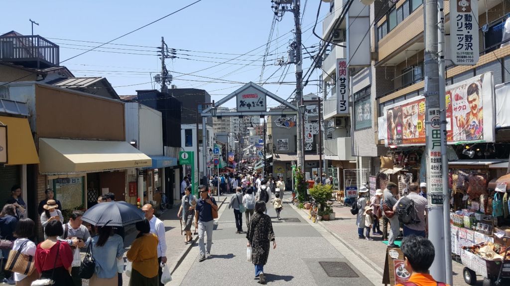 야네센