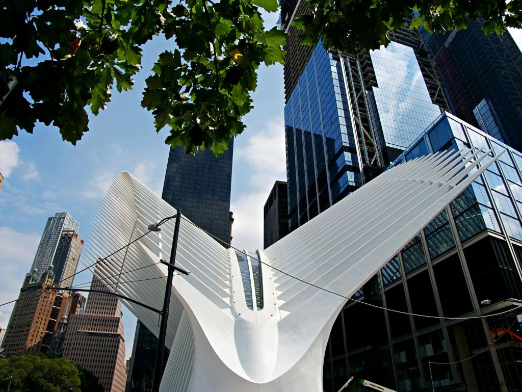 높은 현대식 건물로 둘러싸인 오큘러스의 하얀 날개 모양 구조로, 위에는 푸른 나무 잎이 있습니다.