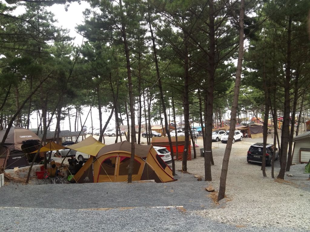 어은돌 송림 캠핑장