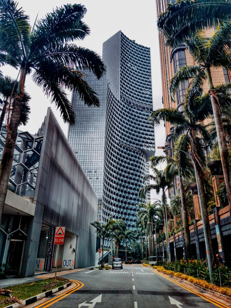 야자수 가로수가 늘어선 거리에 독특한 외관을 갖춘 높고 현대적인 고층 건물이 줄지어 있으며, "느린" 표지판과 주차된 차량이 거의 없습니다.