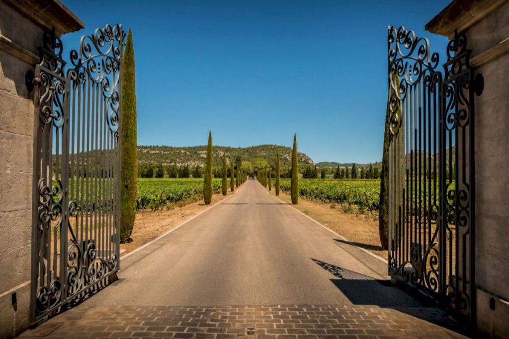 프로방스의 와이너리