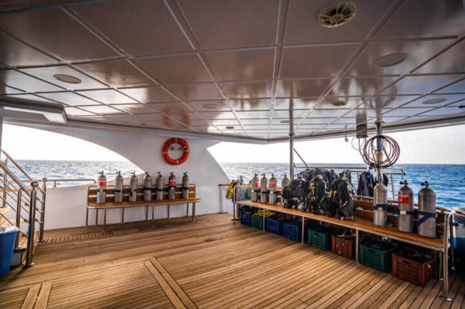 파디-다이빙-마르살람