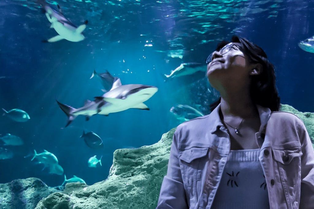 미친아쿠아리움과달라하라