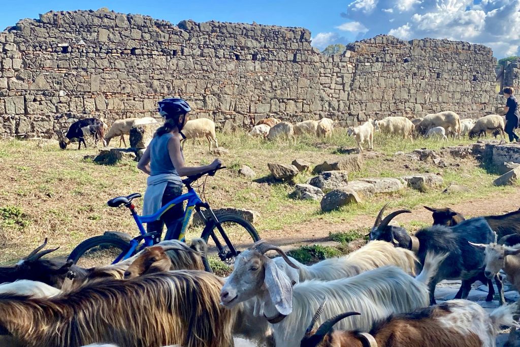 un pequeño contratiempo