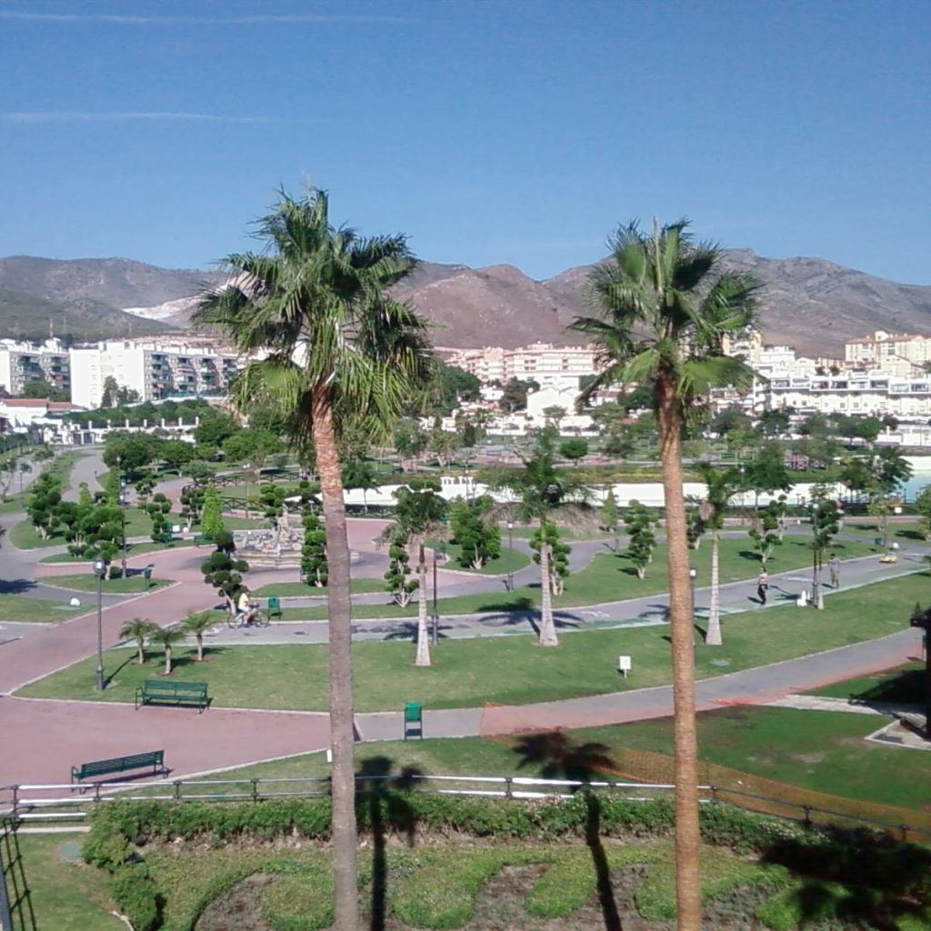 맑고 푸른 하늘 아래 건물과 산을 배경으로 야자수, 통로, 벤치가 있는 공원입니다.